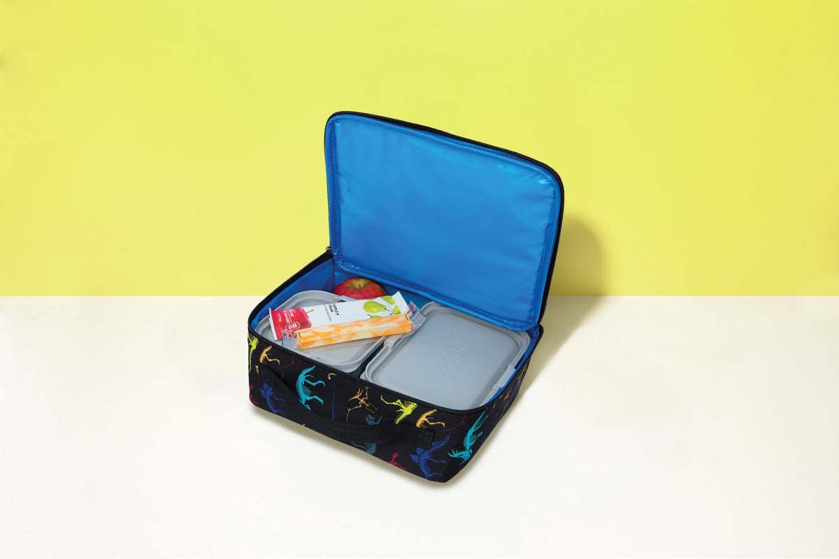 freezable-lunch-box-limited-edition-z1 2022_Lifestyle_Lunch-Box_Dino_Fossils2_Hires.jpg