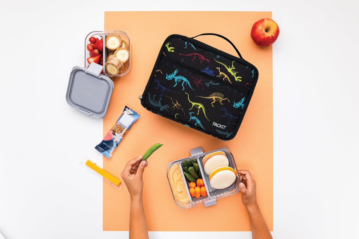 freezable-lunch-box-limited-edition-z1 2022_Lifestyle_Lunch-Box_Dino_Fossils_Hires.jpg